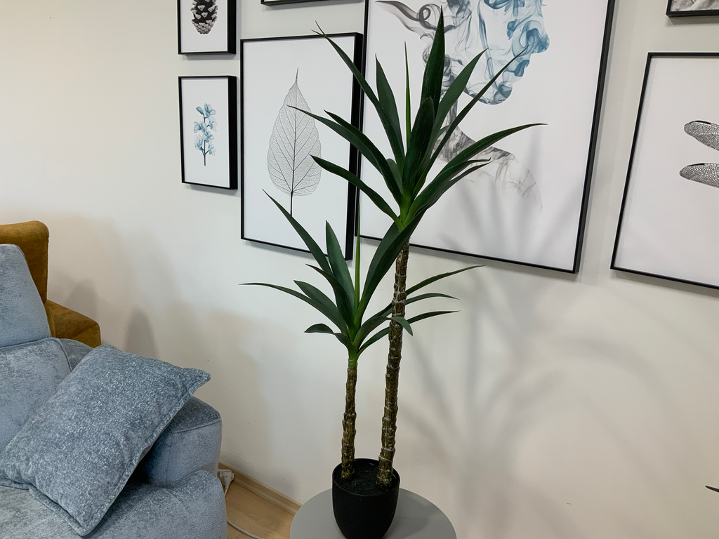 PLANTA YUCOS DE 120 CM-BELDA 616/021
