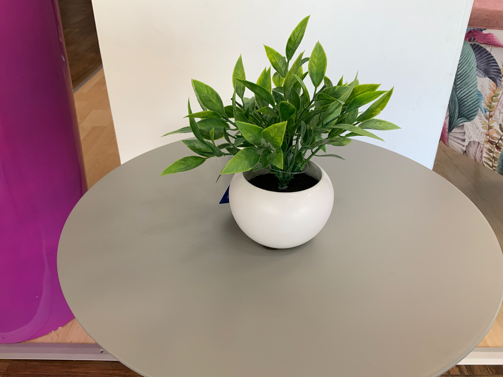 PLANTA PIE 