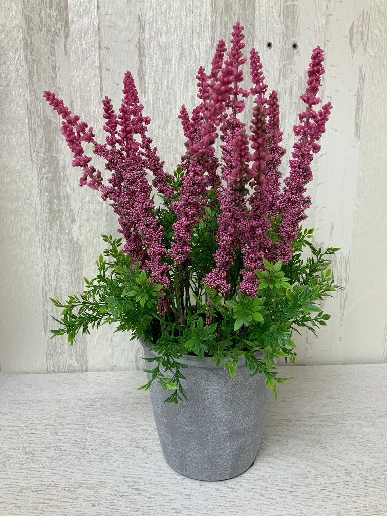 MACETA TIARELLA