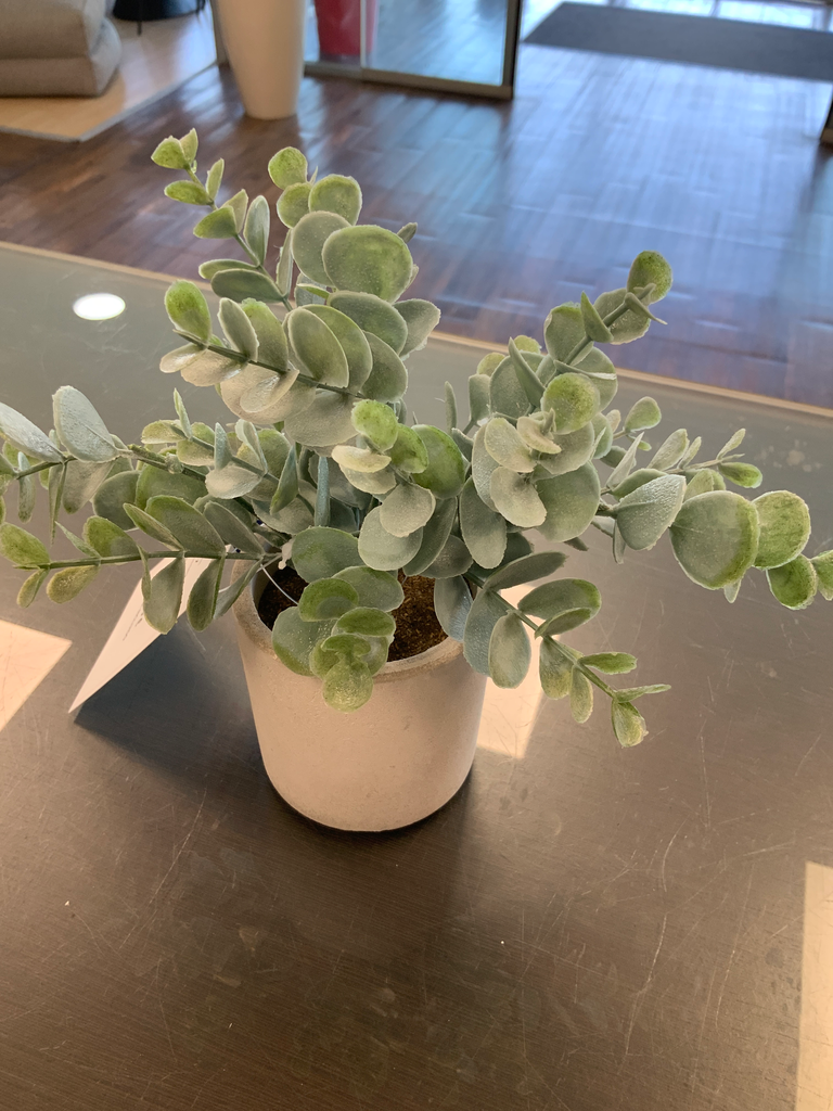PLANTA RESINA